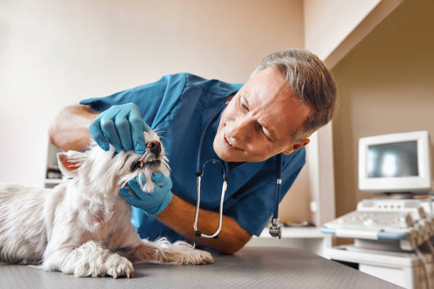 Best Emergency Tooth Extraction in Crystal City, TX